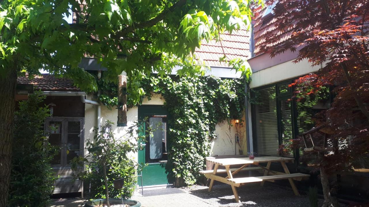 Familiehuis Amber 학스버겐 외부 사진