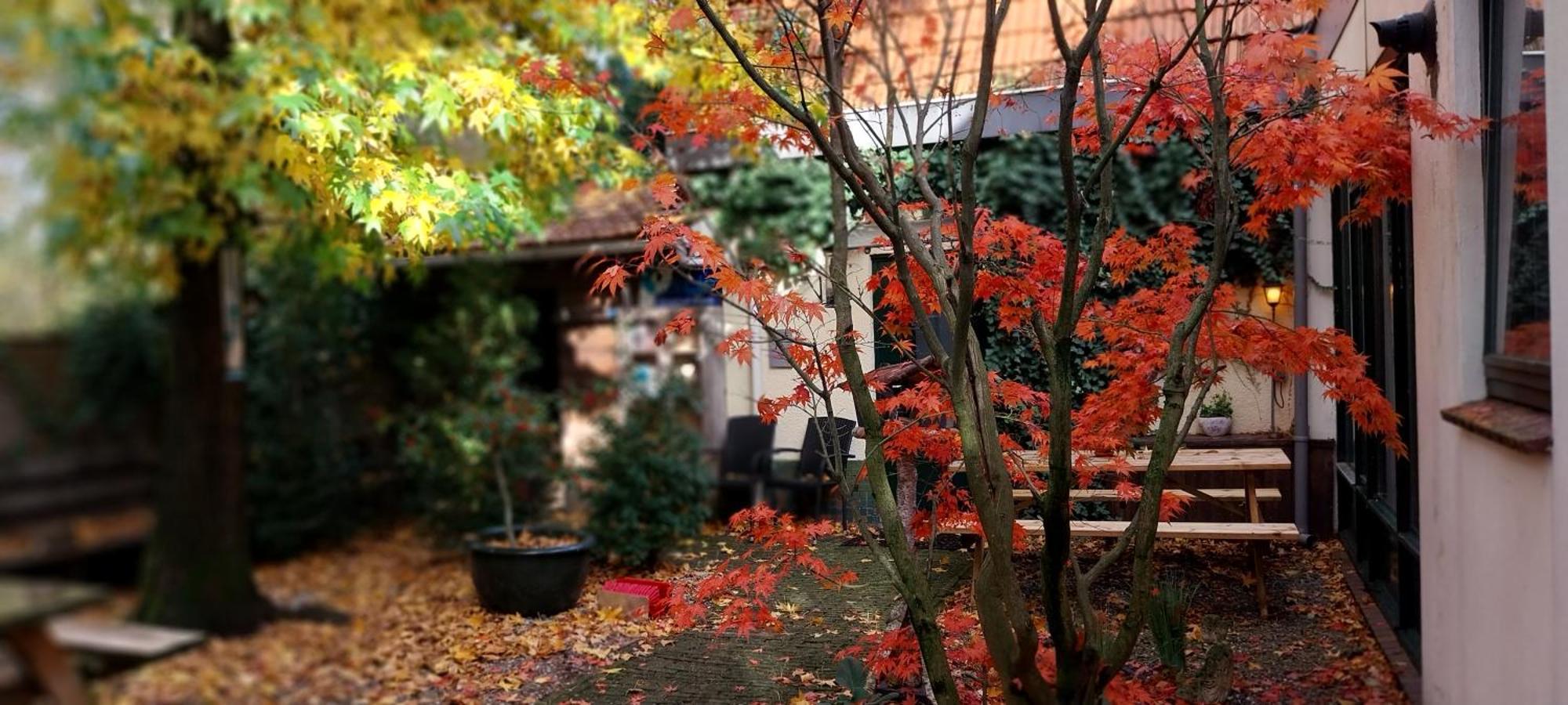 Familiehuis Amber 학스버겐 외부 사진